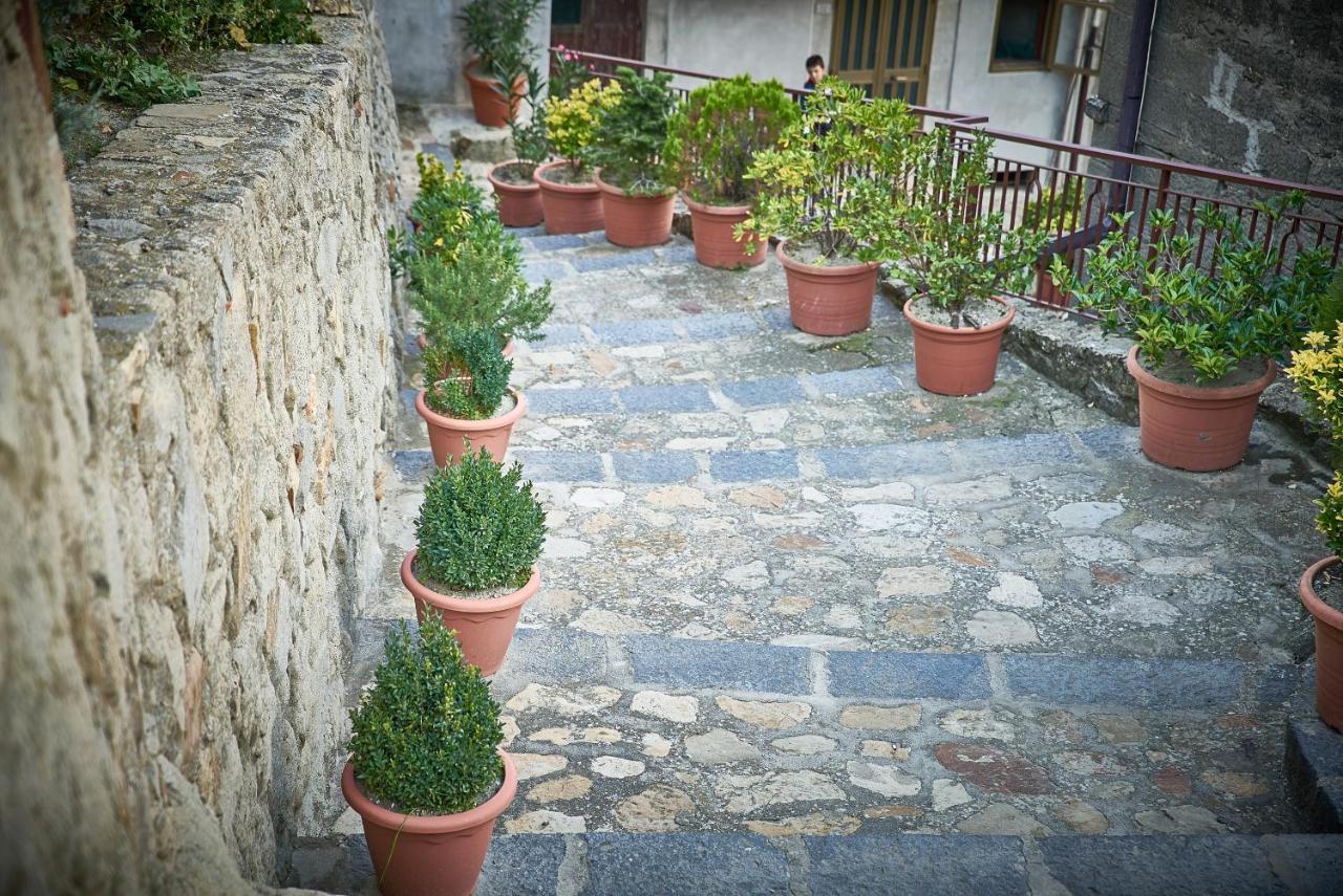 CeramiLa Casa Del Tempo住宿加早餐旅馆 外观 照片